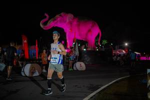 BIB: 
                            <button type="button" onclick="openModal(26551836)" class="btn btn-primary btn-sm float-right btn-popup" data-toggle="modal" data-target=".modal-high-quality">
                        <i class="fas fa-shopping-cart"></i> Add to Cart
                    </button>
                                            <button type="button" onclick="isThisMe(26551836, true)" class="btn btn-success btn-sm float-right btn-popup btn-isme hidden" data-toggle="tooltip" data-placement="bottom" title="นี่คือรูปของคุณใช่ไหม คลิกที่นี่เพื่อเอาเข้าอัลบั้ม">
                        <i class="fas fa-plus"></i> Add to album
                    </button>
                    <button type="button" onclick="isThisMe(26551836, false)" class="btn btn-warning btn-sm float-right btn-popup btn-isnotme hidden">
                        <i class="fas fa-ban"></i> Remove from album
                    </button>